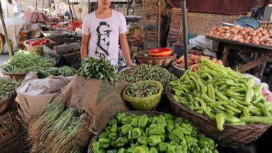 أسعار الخضروات والفاكهة في سوق العبور