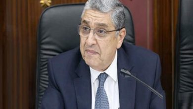 محمد شاكر وزير الكهرباء والطاقة المتجددة