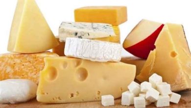 أسعار الجبن بالأسواق