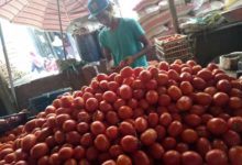 أسعار الخضروات والفاكهة في سوق الجملة اليوم الأحد