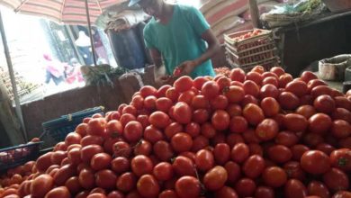 أسعار الخضروات والفاكهة في سوق الجملة اليوم الأحد