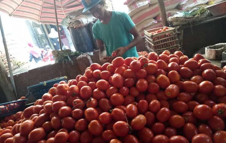 أسعار الخضروات والفاكهة في سوق الجملة اليوم الأحد