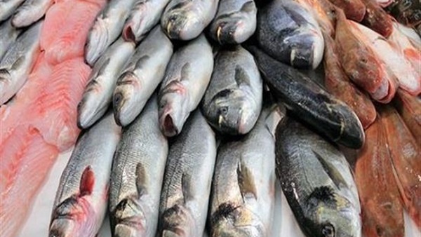 أسعار الأسماك والمأكولات البحرية اليوم